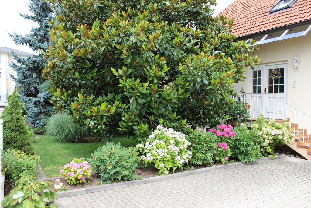 Ferienwohnung Fleck Rust Zewnętrze zdjęcie